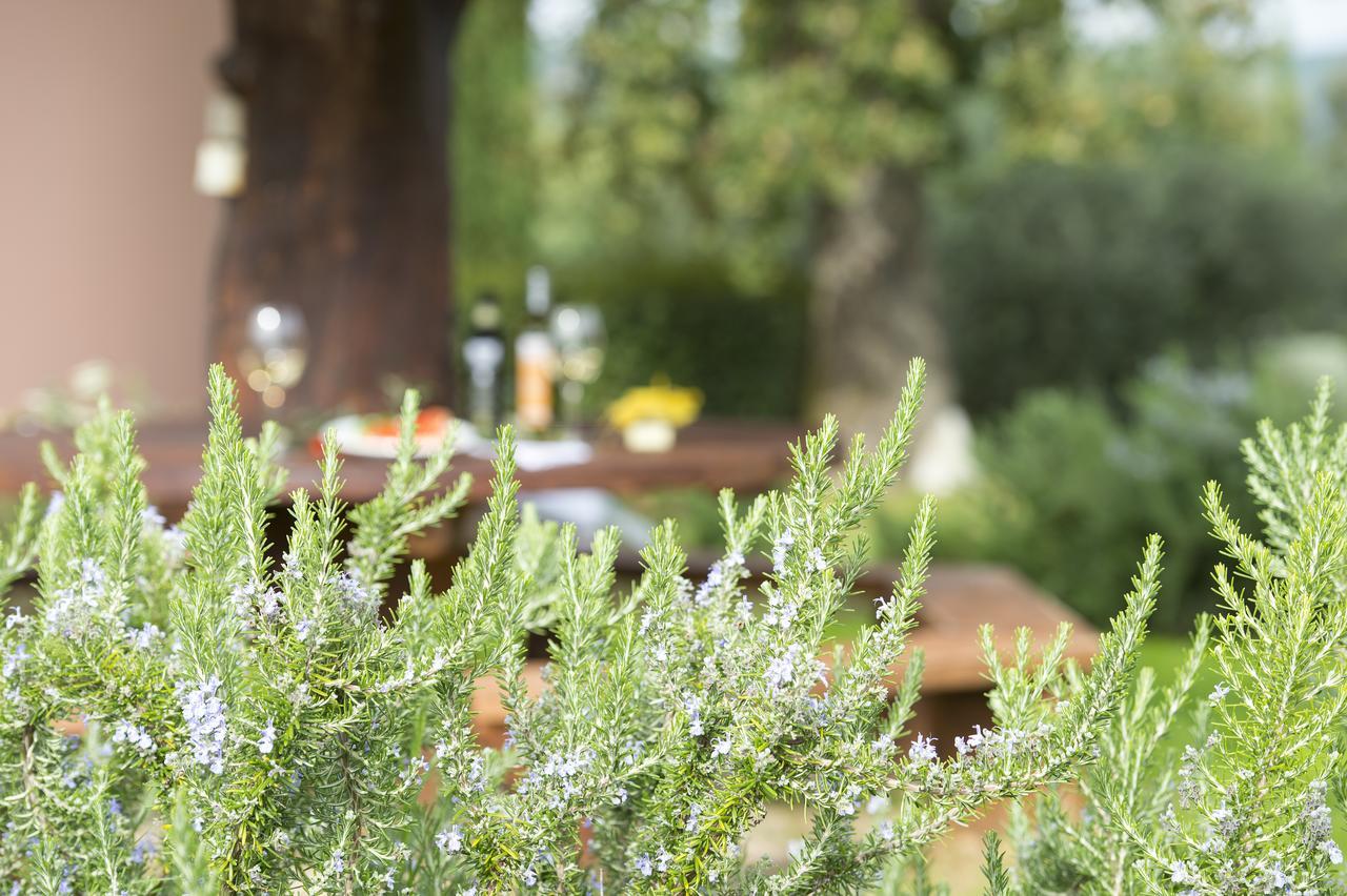 Agriturismo Poggio Corbello La Pesta Екстериор снимка