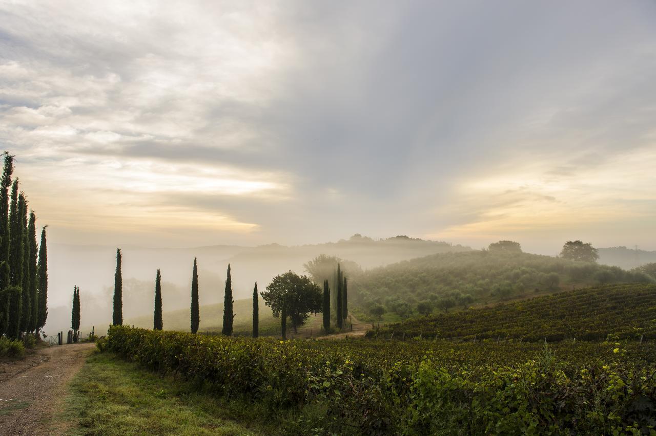 Agriturismo Poggio Corbello La Pesta Екстериор снимка
