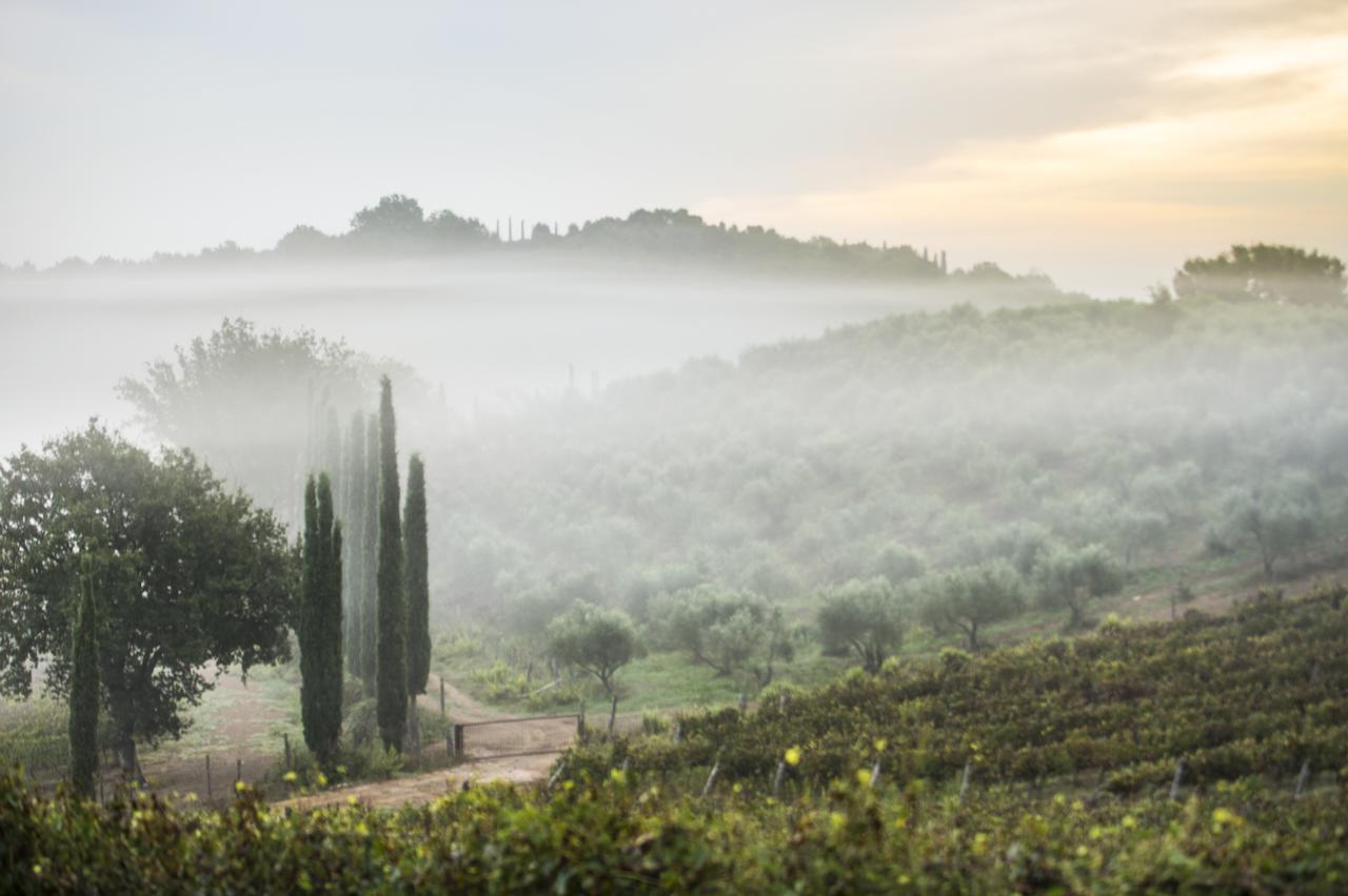 Agriturismo Poggio Corbello La Pesta Екстериор снимка
