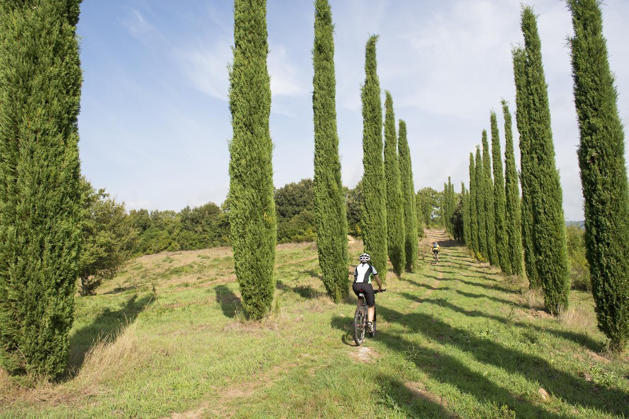Agriturismo Poggio Corbello La Pesta Екстериор снимка