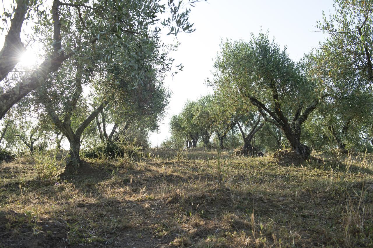 Agriturismo Poggio Corbello La Pesta Екстериор снимка