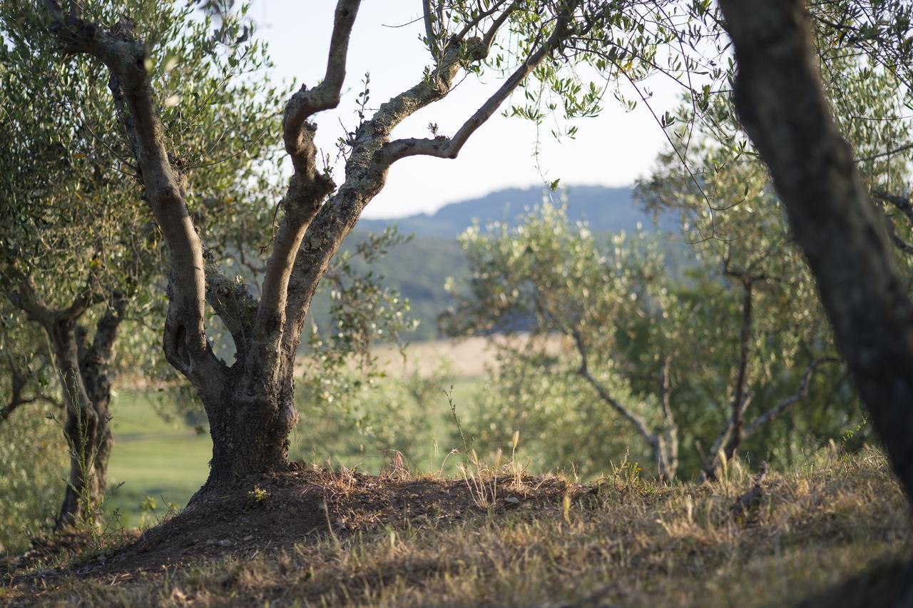 Agriturismo Poggio Corbello La Pesta Екстериор снимка