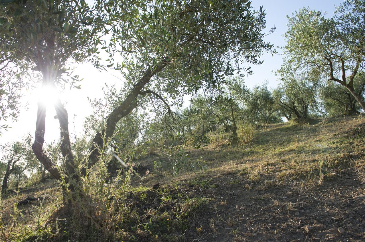 Agriturismo Poggio Corbello La Pesta Екстериор снимка