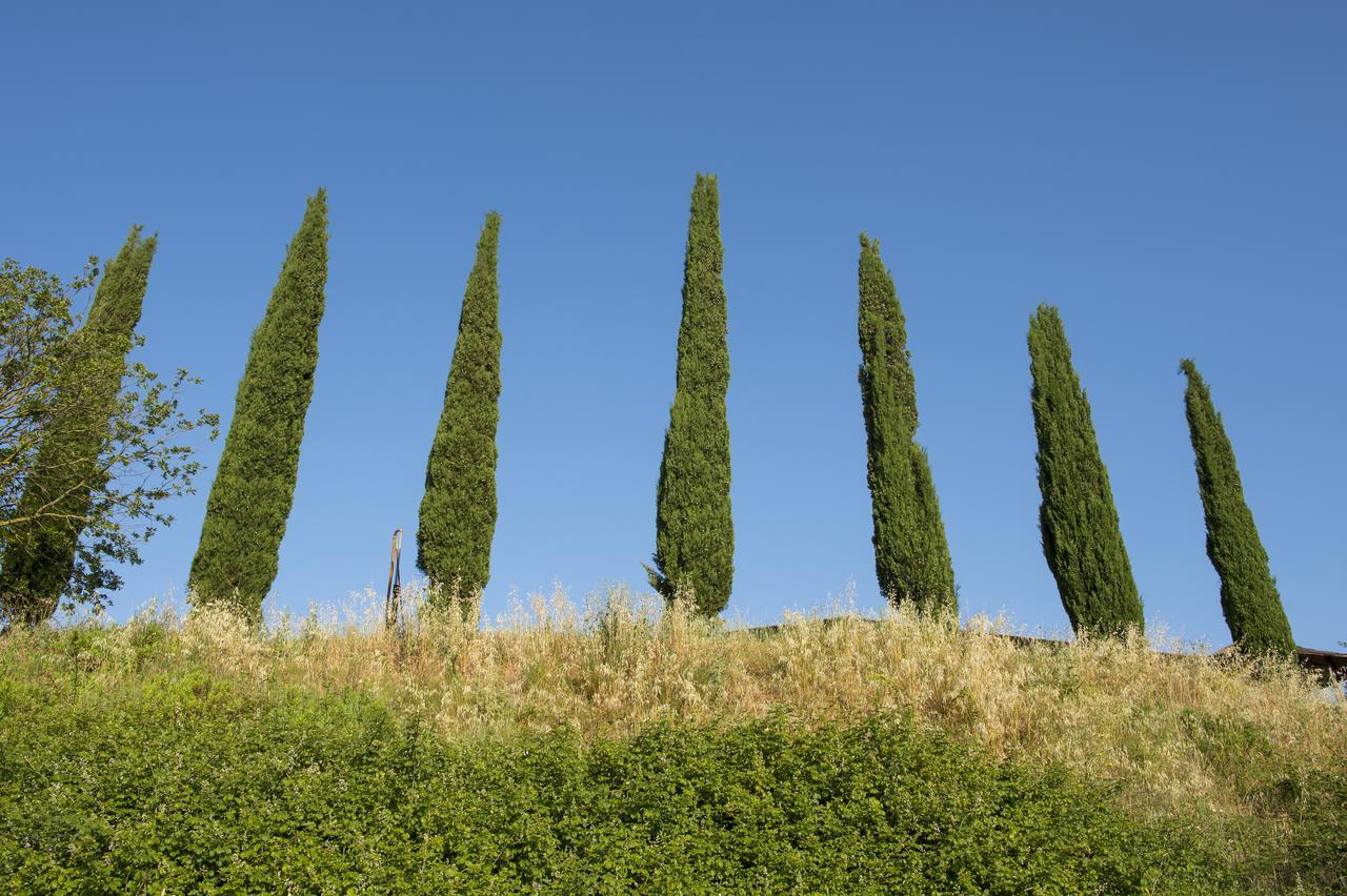 Agriturismo Poggio Corbello La Pesta Екстериор снимка